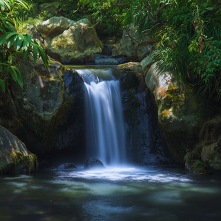 Nature Sounds