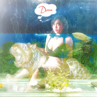 Vũ Hà Anh