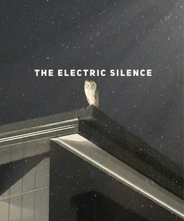 The Electric Silence