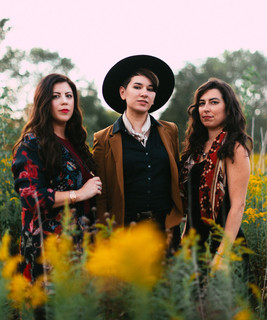 The Nettes