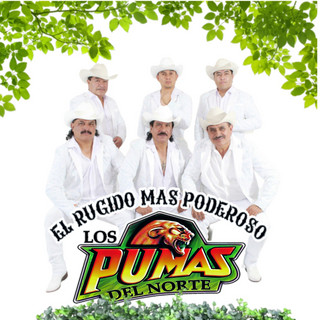 Los Pumas Del Norte
