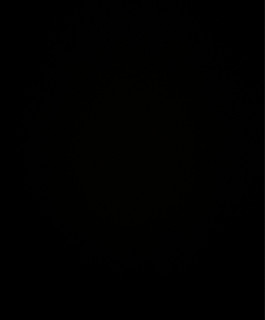 Dark | دارك