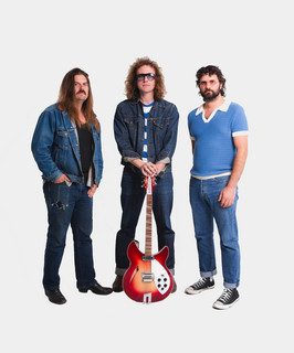 Triptides poster