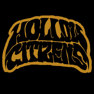 Hollow Citizens
