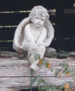 angel barn