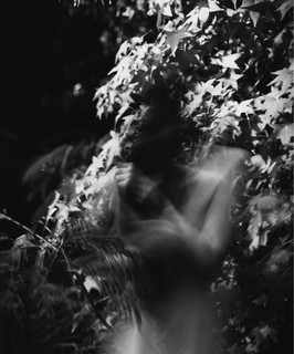 Sylph Photo