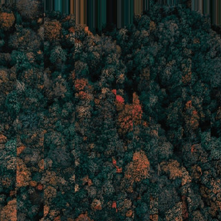 Hortalis artist photo