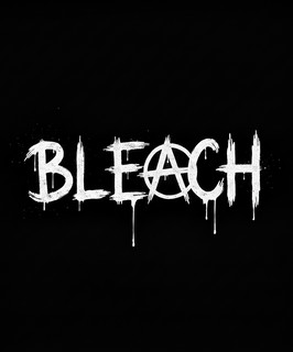 Bleach Inc