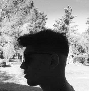 Luc Martinez photo