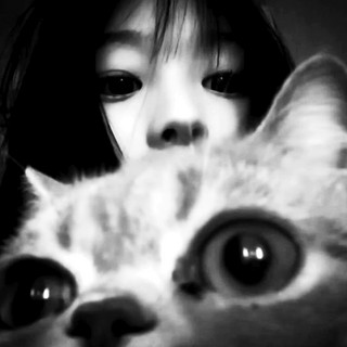MeowTekk