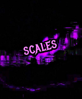 Scales cover