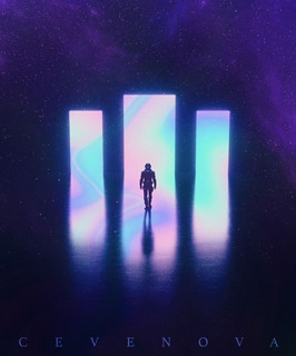 Fin