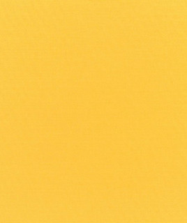 Twivemill