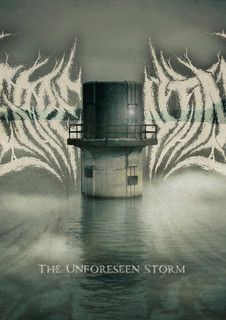 Serpentine cover