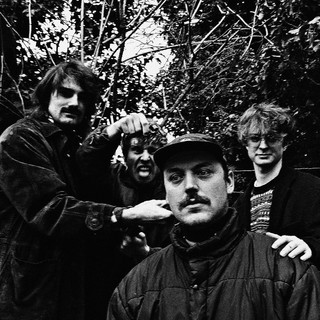 Lintworm Photo