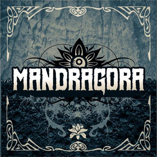 Mandragora