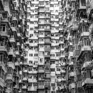 The Hong Kongs Photo
