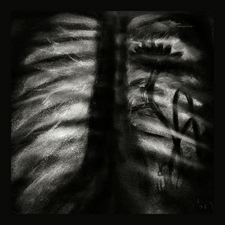 Flower in My Lung poster