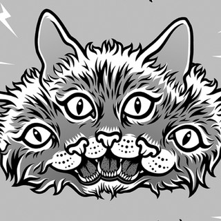 Radical Kitten Photo
