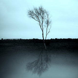 Absence of Doubt Photo