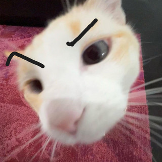 Hyouiss