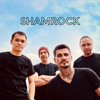 Shamrock cover
