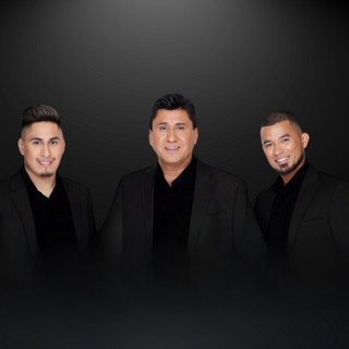 Los Expertos de Michoacan