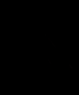 Imagen de Le Ché