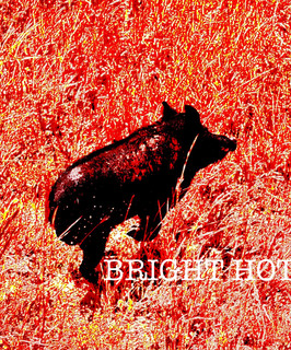 Bright Hotel