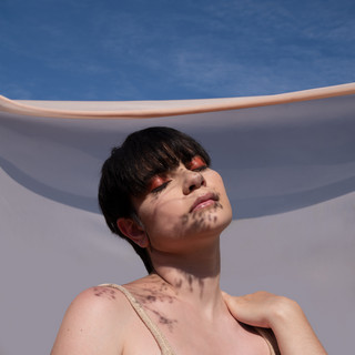 Sara Torraco