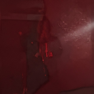Dx137