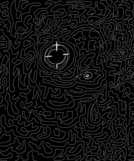 COMPASS OF ION