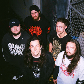 Parasitic Infestation Photo