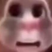 boiwhatdahellboi