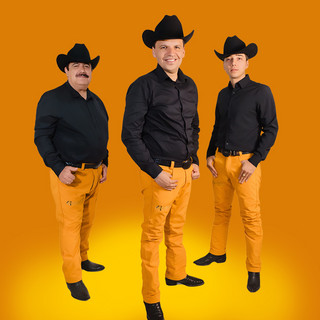 Alfonso Payan y Asociados poster