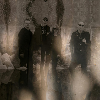 Psychoformalina Photo