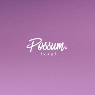 Possum