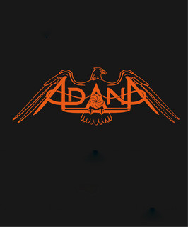 Adana Project poster
