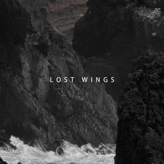With Broken Wings Photo