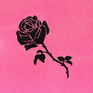 LIBERATO cover