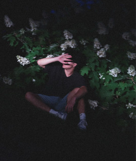 Max Cunningham