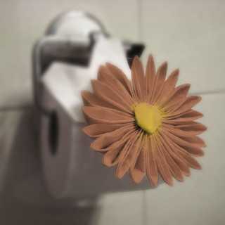 Brun Toiletpapirblomst