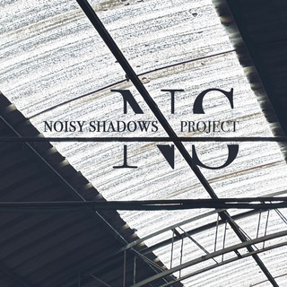 Noisy Shadows