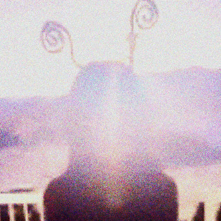Theeuzxn