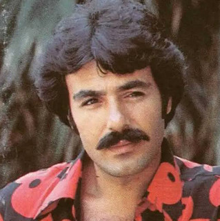 Ferdi Tayfur poster