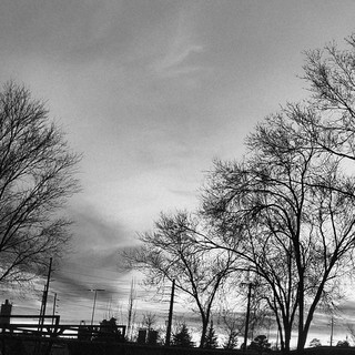 Greyscale Images