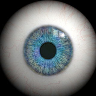 bysight