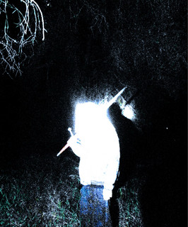 Killvein Photo