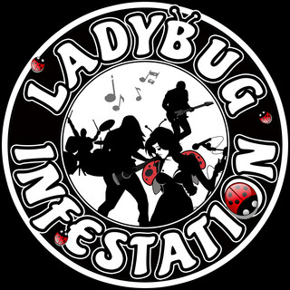 Ladybug Infestation gallery image 1
