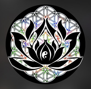 The Lotus Flower
